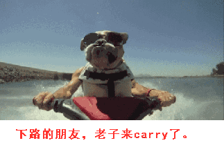 lol搞笑gif 是哪位高手在装()好刺眼