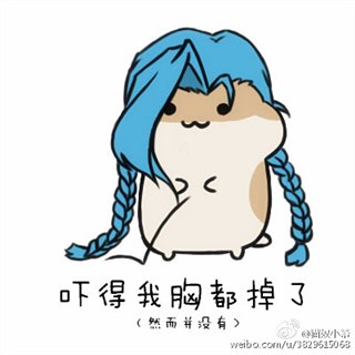 lol萌萌哒的鸽子表情吓的我都掉了一地体寒胃热可以喝仓鼠汤图片