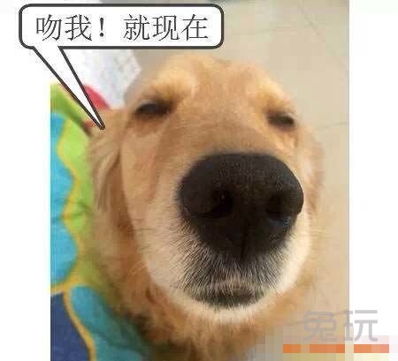 兔玩每日爆笑囧图2015年3月25日 妹子是在玩车震么?